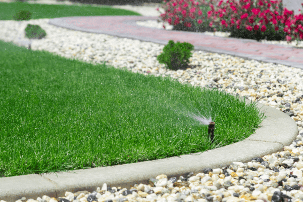 McLeod Landscaping The Lowdown on Drip: Lawn Irrigation Systems Explained