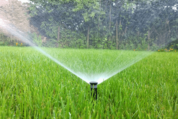 The Benefits of Installing an Automatic Sprinkler System