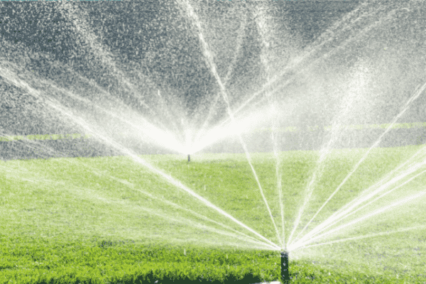 The Ultimate Guide to Installing a Lawn Sprinkler System Yourself