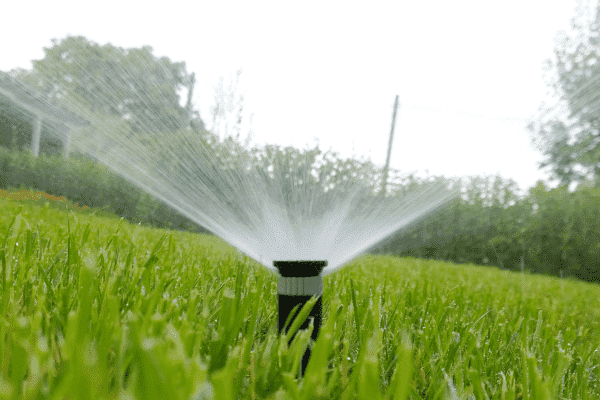 How to Choose the Right Irrigation Company Near Me