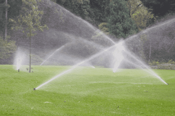 The Essentials of Irrigation Systems: Installation and Maintenance Tips