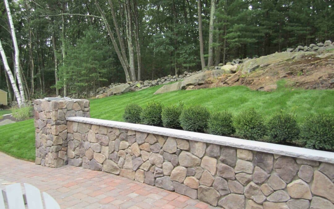 Hardscape and Landscape: What Sets Them Apart?