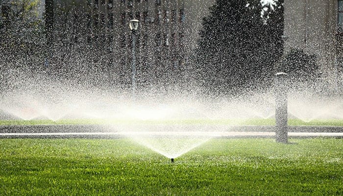 Optimizing Your Lawn’s Watering Schedule with a Sprinkler System