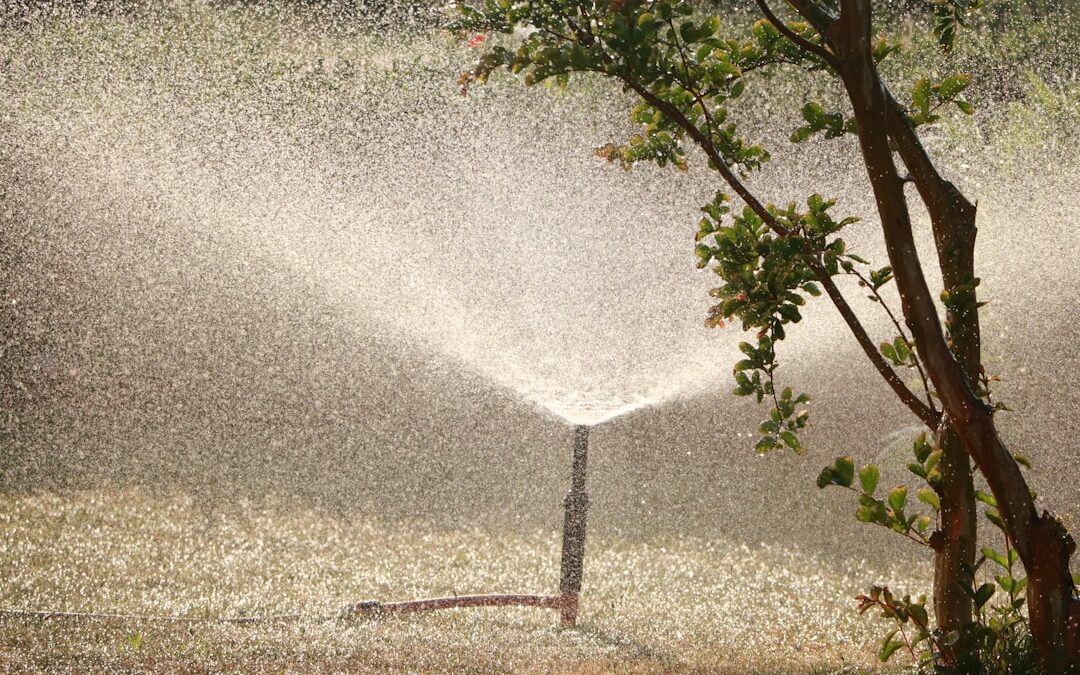 How to Choose the Right Sprinkler System Installer Near Me