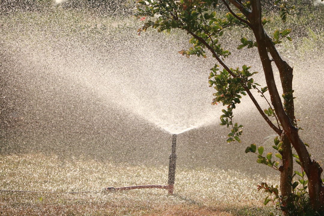 How to Choose the Right Sprinkler System Installer Near Me