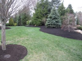 Residential landscaping project featuring lush green grass, neatly mulched flower beds, and a variety of evergreen trees.