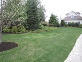 Residential landscaping project featuring lush green lawn, well-maintained shrubs, and trees, showcasing McLeod Landscaping's design expertise.