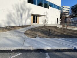 Commercial landscaping installation featuring a curved walkway and newly planted trees outside a modern building, showcasing McLeod Landscaping's design and maintenance services.