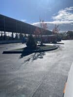 Commercial landscaping project featuring a paved parking area with a circular planting bed and trees, showcasing McLeod Landscaping's design and maintenance services.