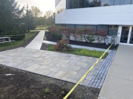 Commercial landscaping project showcasing a newly installed stone patio and walkway, featuring greenery and modern architecture, highlighting McLeod Landscaping's hardscaping services.