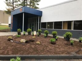 Commercial landscaping project by McLeod Landscaping featuring newly installed plants and mulch at a business entrance.
