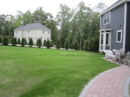 Residential landscaping project featuring a well-maintained lawn, bordered by trees and two houses, with a brick pathway leading to a patio area.