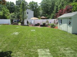 Residential landscaping project featuring a well-maintained green lawn, garden shed, and outdoor seating area, showcasing McLeod Landscaping's design and construction services.