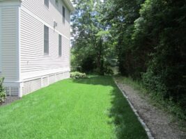Residential landscaping project featuring well-maintained green lawn adjacent to a house and a gravel pathway bordered by trees.