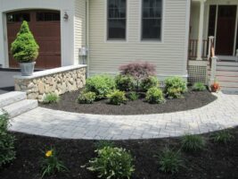 Residential landscaping featuring a curved stone pathway, lush green plants, and a decorative shrub near a house entrance, showcasing McLeod Landscaping's design expertise.