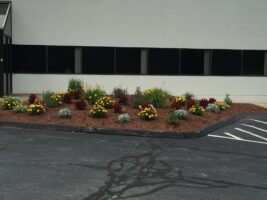 Commercial landscaping design featuring colorful flower beds and shrubs at a business property, showcasing McLeod Landscaping's expertise in commercial property maintenance and landscaping services.