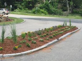 Commercial landscaping design featuring a flower bed with various plants and mulch, showcasing McLeod Landscaping's expertise in enhancing outdoor spaces.