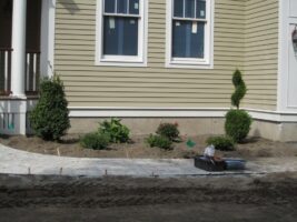 Residential landscaping project featuring freshly planted shrubs and flowers, newly laid stone pathway, and a house exterior with windows, showcasing McLeod Landscaping's design and construction services.