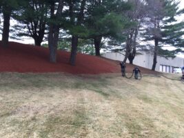 Commercial landscaping project featuring workers applying mulch around trees, enhancing property aesthetics for McLeod Landscaping.