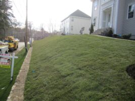 Residential landscaping project by McLeod Landscaping featuring a well-maintained grassy slope beside a house, showcasing quality lawn care and design.