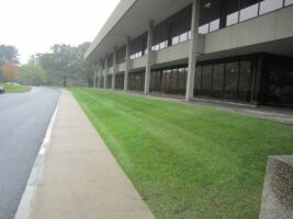 Commercial landscaping featuring well-maintained grass and a modern building facade, showcasing McLeod Landscaping's property maintenance services.
