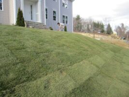 Residential landscaping project featuring freshly laid sod on a sloped lawn beside a house, showcasing McLeod Landscaping's design and installation services.