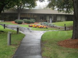 Commercial landscaping design featuring a paved walkway leading to a well-maintained building, surrounded by colorful flower beds and manicured greenery, showcasing McLeod Landscaping's services.
