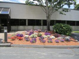 Colorful flower bed with various blooms and mulch in front of a commercial building, showcasing McLeod Landscaping's landscaping design services.