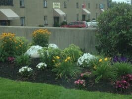 Colorful flower bed featuring yellow, white, and pink blooms, surrounded by lush green foliage, enhancing the landscaping aesthetic for McLeod Landscaping projects.