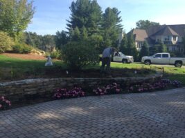 Residential landscaping project with a worker planting flowers in a stone-bordered garden bed, featuring a paved driveway and surrounding greenery, showcasing McLeod Landscaping's design services.