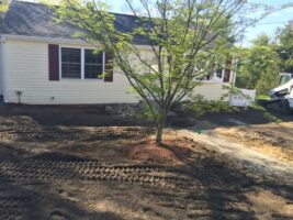 Residential landscaping project featuring a freshly prepared yard with visible tire tracks, a young tree, and a house with red shutters, showcasing McLeod Landscaping's design work.