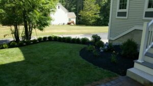 Residential landscaping design featuring a well-maintained lawn, bordered by black mulch and decorative plants, adjacent to a house.