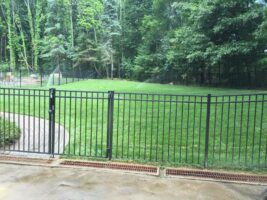 Residential landscaping project featuring a well-maintained green lawn enclosed by a black metal fence, with a curved walkway leading into the yard.