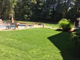 Lush green lawn surrounding a swimming pool area with lounge chairs, showcasing residential landscaping by McLeod Landscaping.