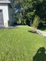 Residential landscaping project featuring a well-manicured green lawn, bordered by decorative plants and a stone pathway, showcasing McLeod Landscaping's expertise in residential landscaping services.