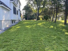 Residential landscaping featuring a well-maintained green lawn adjacent to a house, showcasing McLeod Landscaping's expertise in residential landscaping services.