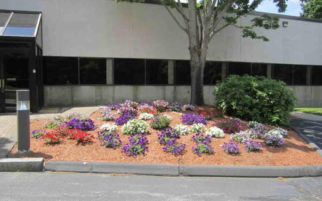 Creating Impactful Spaces: A Look at Commercial Landscape Design