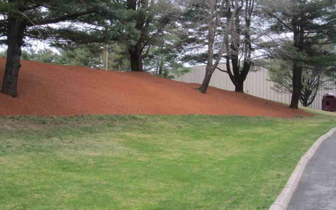 Your Guide to Finding Hydromulching Services Near You