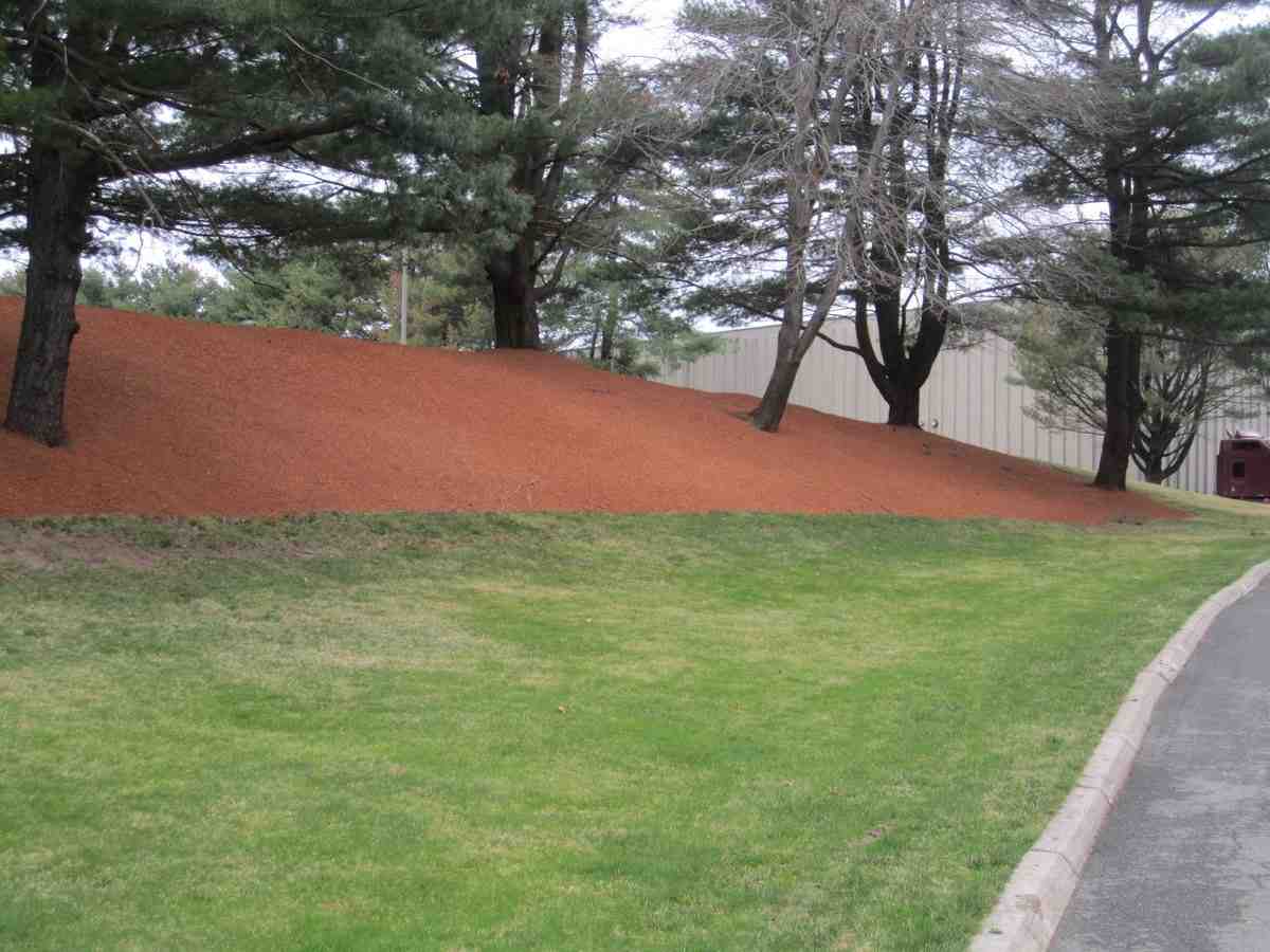 Your Guide to Finding Hydromulching Services Near You