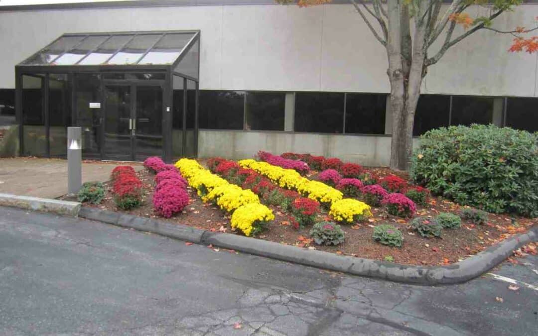 The Most Effective Solution for Commercial Landscaping Services