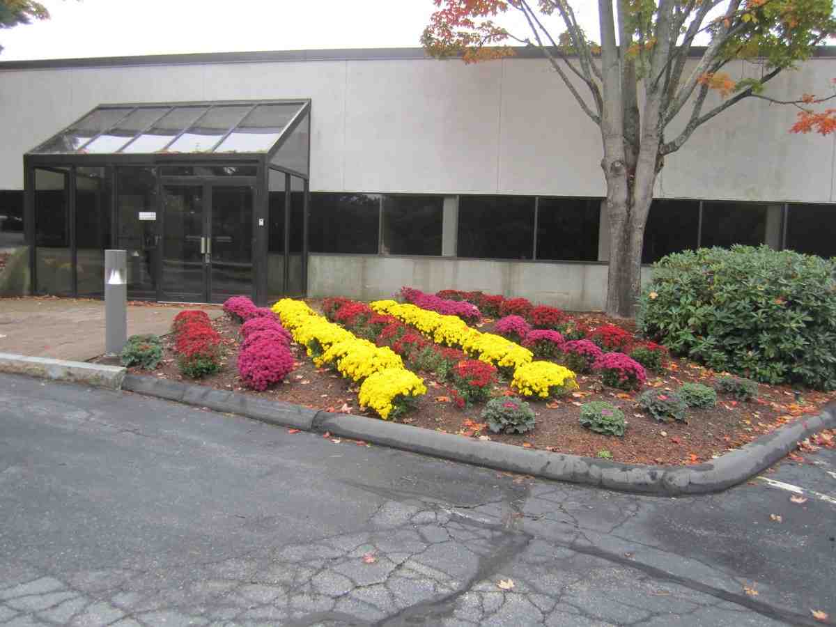 The Most Effective Solution for Commercial Landscaping Services