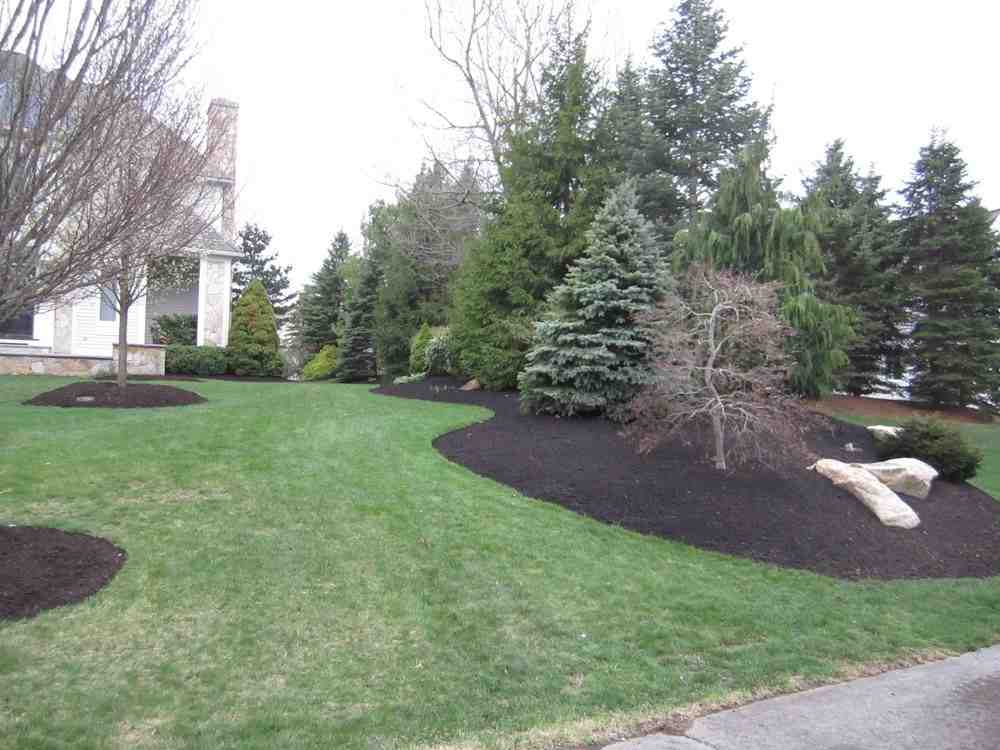 McLeod Landscaping Hardscape or Softscape? How to Choose Your Landscaping Style